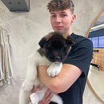 Profilová fotka Filip Glas