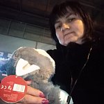 Profilová fotka Svitlana Strila